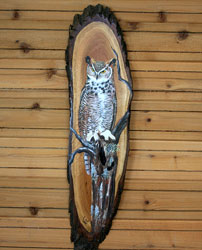 Great Horned Owl on Oak