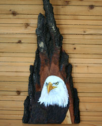 Bald Eagle on Oak