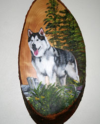 Malamute on Popple