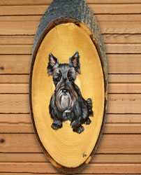 Scottish Terrier