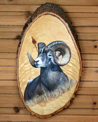Big-Horn Sheep on Popple