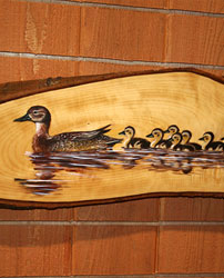 Mallards on Popple