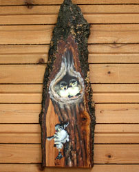 Baby Wood Ducks on Oak