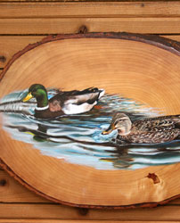 Mallards on Popple